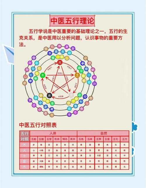 2025年最新版 五行修炼实战全解析