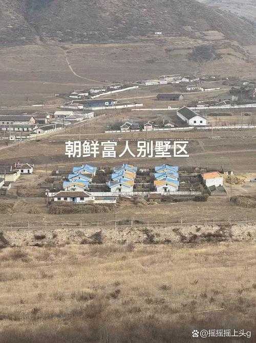 2025年朝鲜游戏市场全景观察 这些本土佳作值得关注