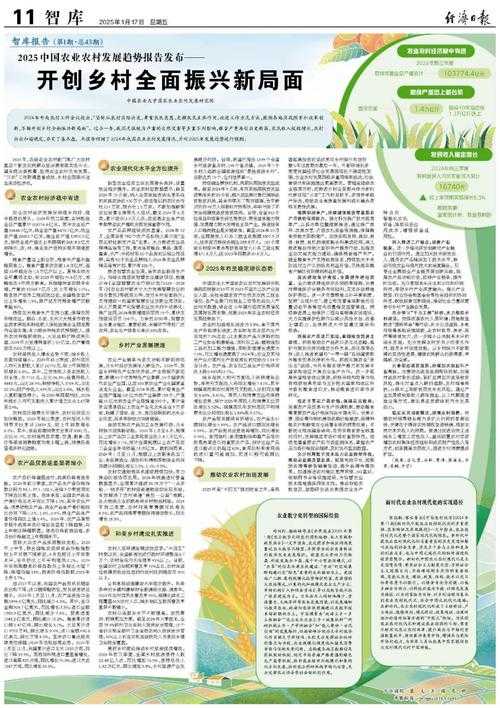 2025年村庄发展工具实测报告 白金级建村令的硬核数据