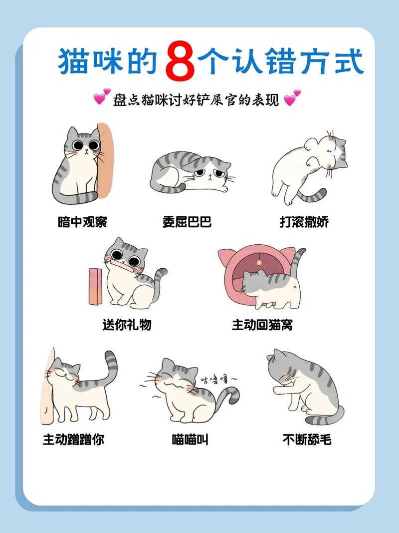 2025年杰尼斯网游宠物养成全攻略 从新手到大师的进阶指南