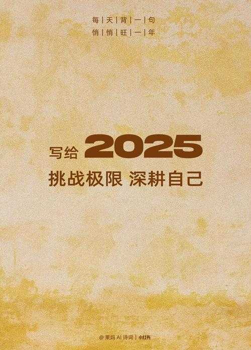 2025年极限挑战手记 159 高温赛场的生存法则