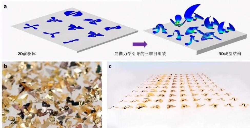 2025年极限运动新玩法 普通人如何解锁 三维滞空术