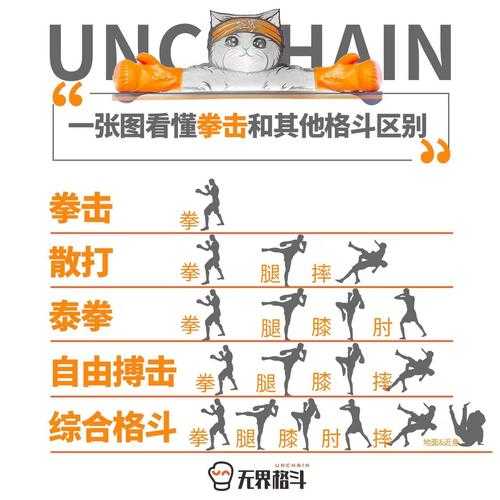 2025年格斗游戏进阶指南 从萌新到高手的连招修炼手册