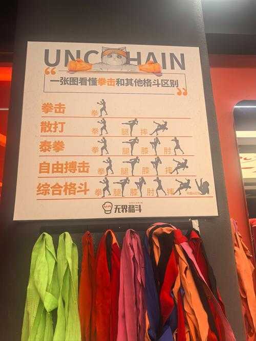 2025年格斗网游深度测评 五大经典作品对比与社区生态分析