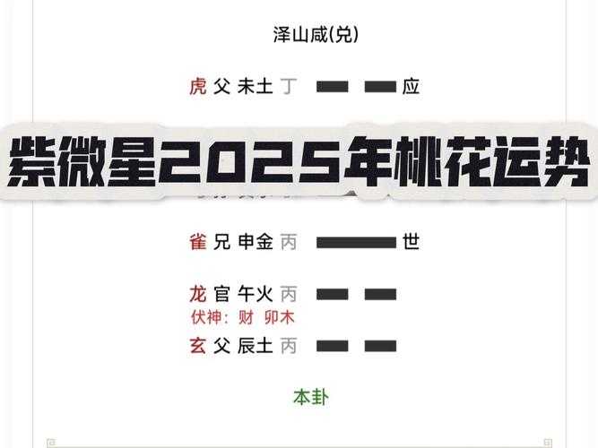 2025年桃花岛门派实战指南 技能 阵法 策略全解析