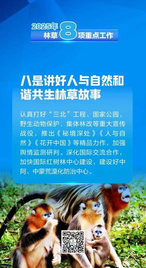 2025年森林探险生存指南 亲测有效的7大法则