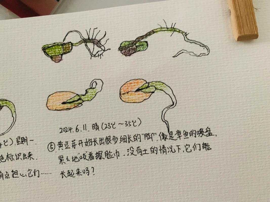 2025年植物色彩观察报告 从叶片到水草的生命密码