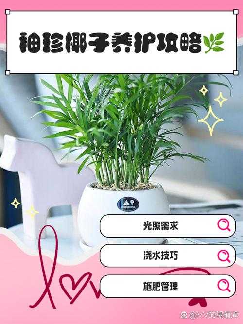 2025年椰子选购全攻略 手把手教你避开这些坑