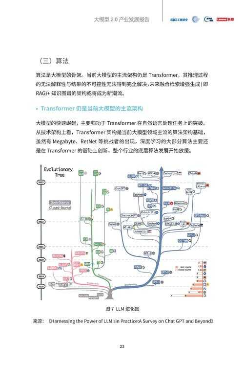 2025年模型设计美学标准实践指南