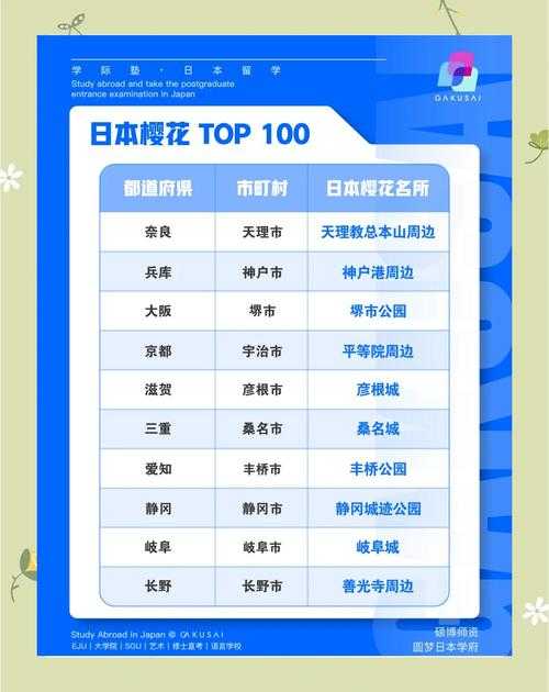 2025年樱花动漫社区深度体验报告