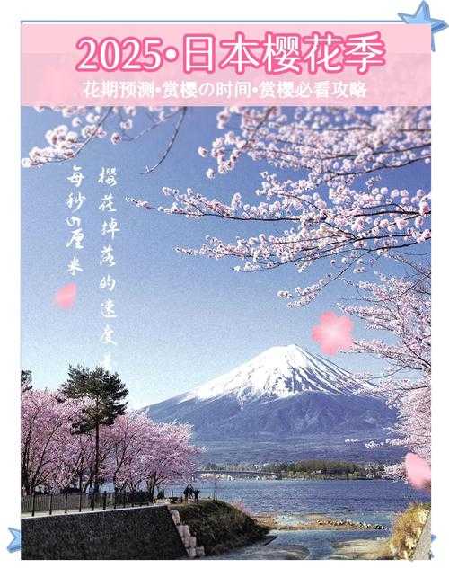 2025年樱花动漫高清资源获取全攻略